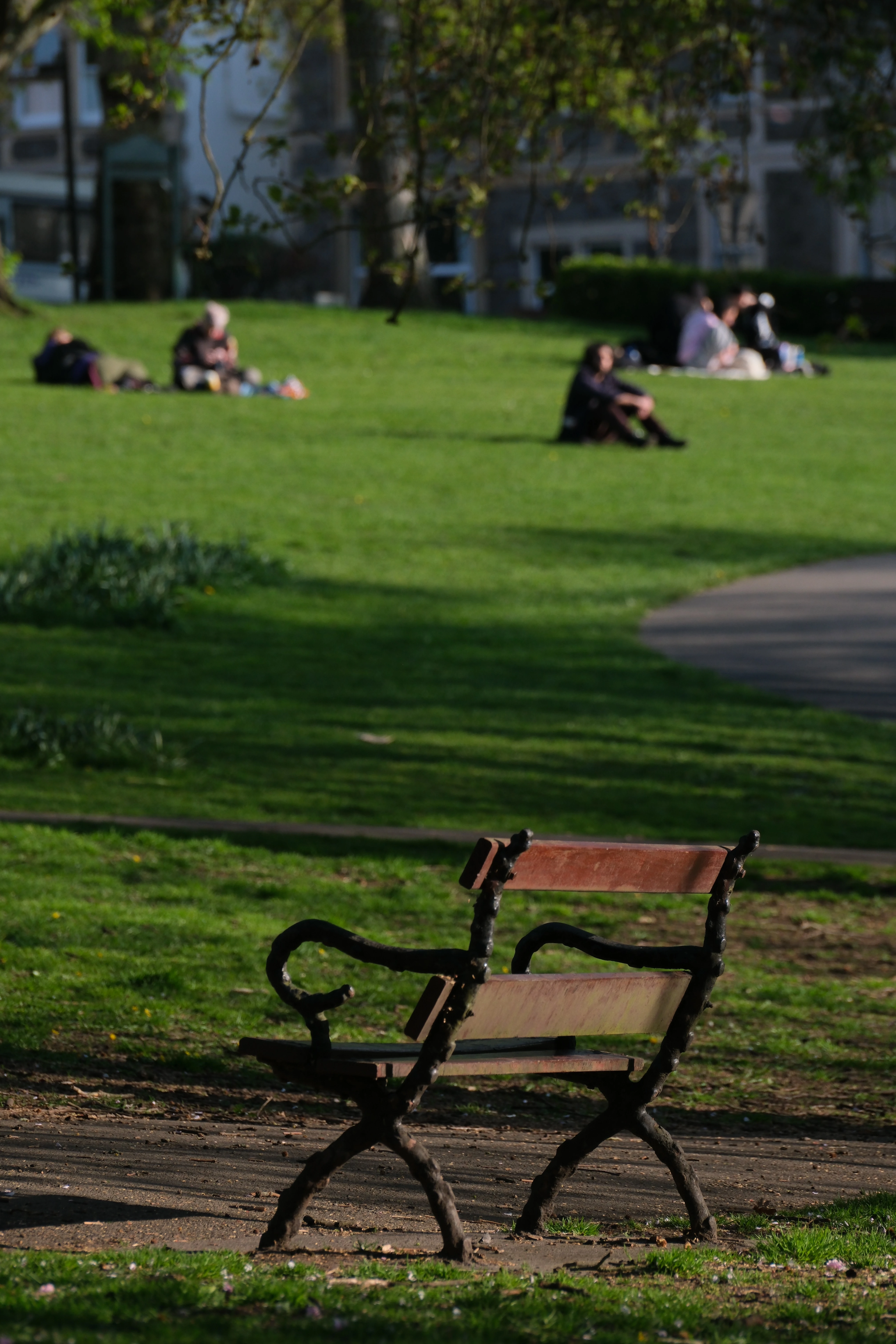 An empty park bench in low sun, with people sitting on the grass beyond it, thrown out of focus.
