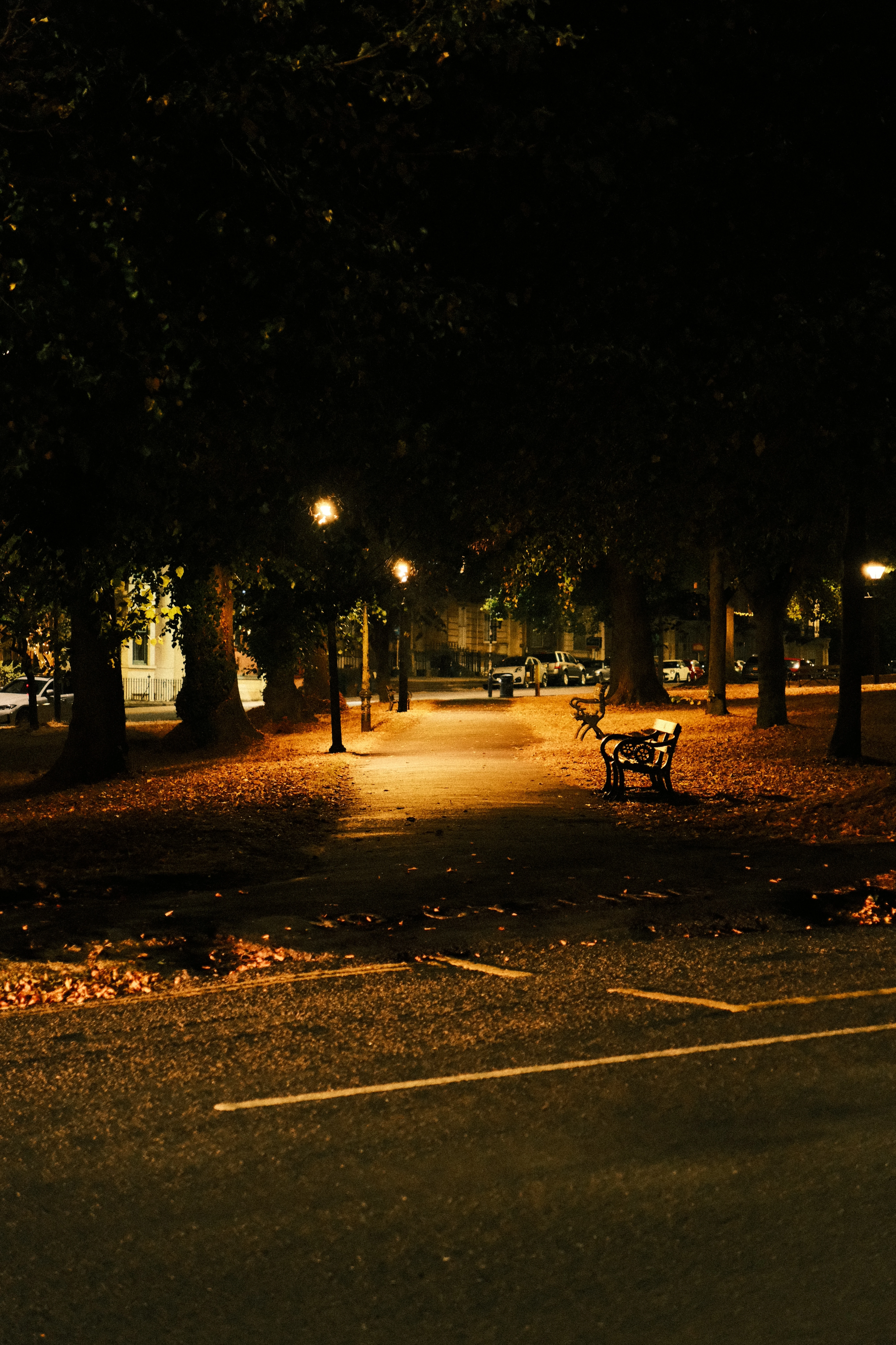 A park path at night under street lamps, with a bench and fallen leaves at the edge of the light.