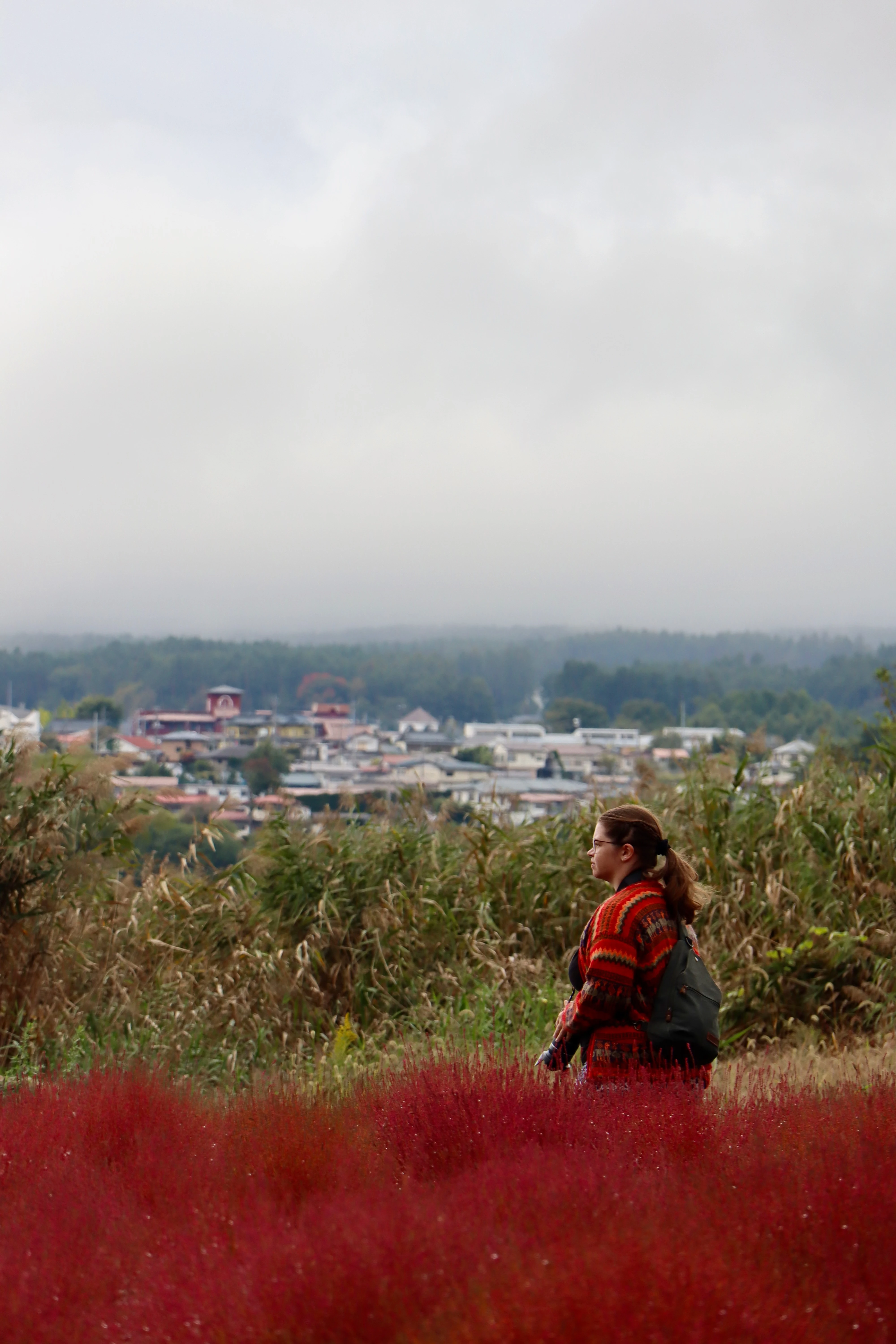A woman in a red patterned jumper standing in a field of deep red kochia, with a hazy town behind her.